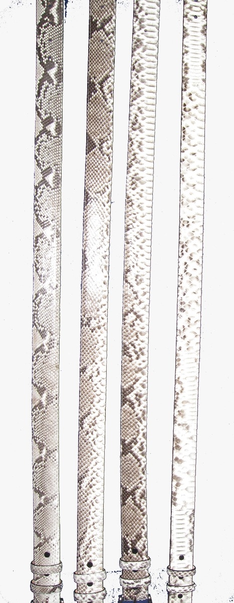 Full Python Belt